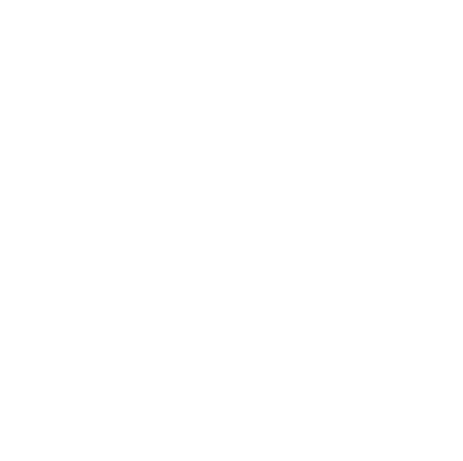 image_2025_02_13T05_43_08_208Z (1)